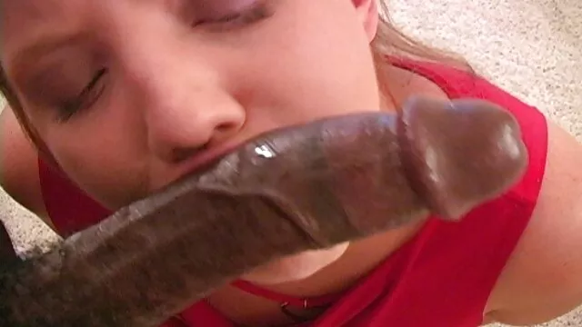 Amateur bbc polla le encanta golpearlo porno gratis fakings por la espalda