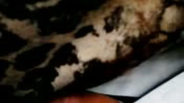 Siguiente amateur francés calle adolescente mmmf dp gangbang azada ver videos de faking